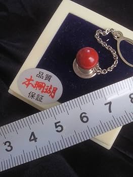 Amazon.co.jp: 血赤珊瑚玉ピンバッジチアカ本珊瑚ピンズ 専用